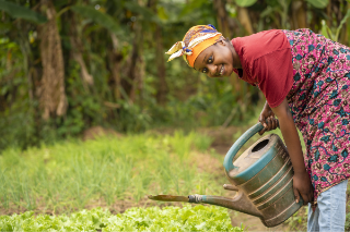 Plan stratégique du Programme alimentaire mondial en Chine